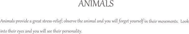                                         ANIMALS
Animals provide a great stress-relief; observe the animal and you will forget yourself in their movements.  Look into their eyes and you will see their personality.  
